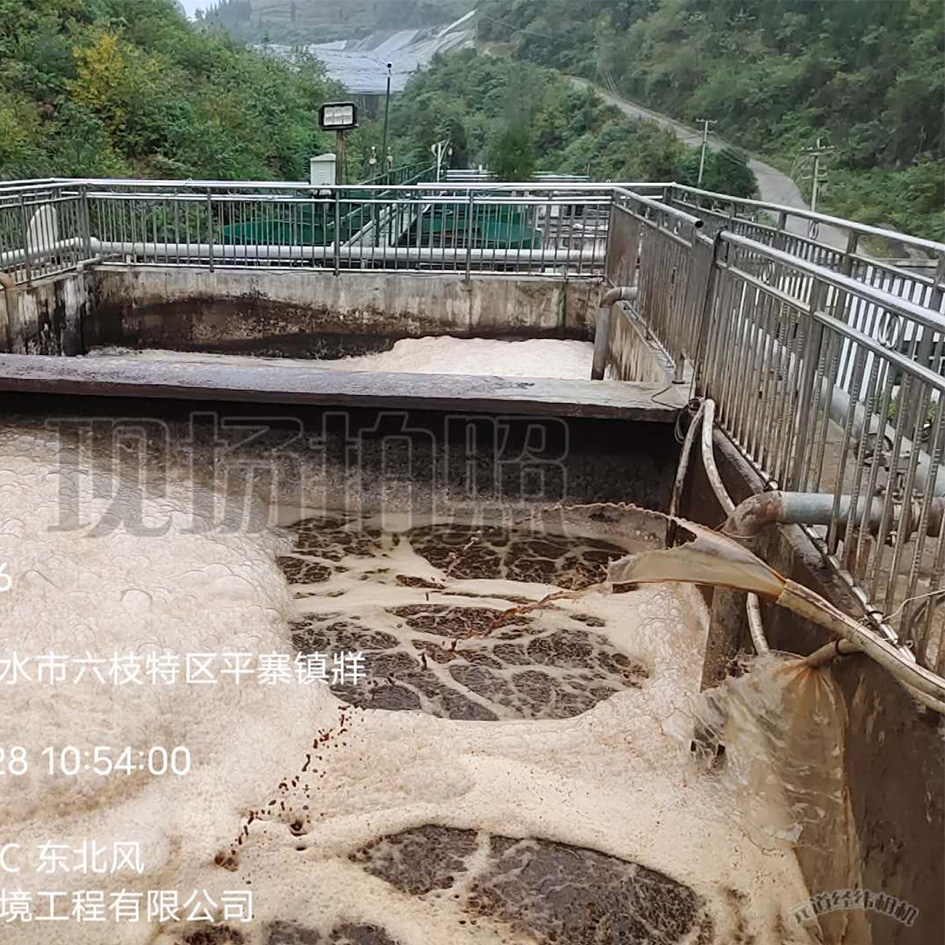 麻豆直播APP下载渗滤液处理中泡沫产生的危害